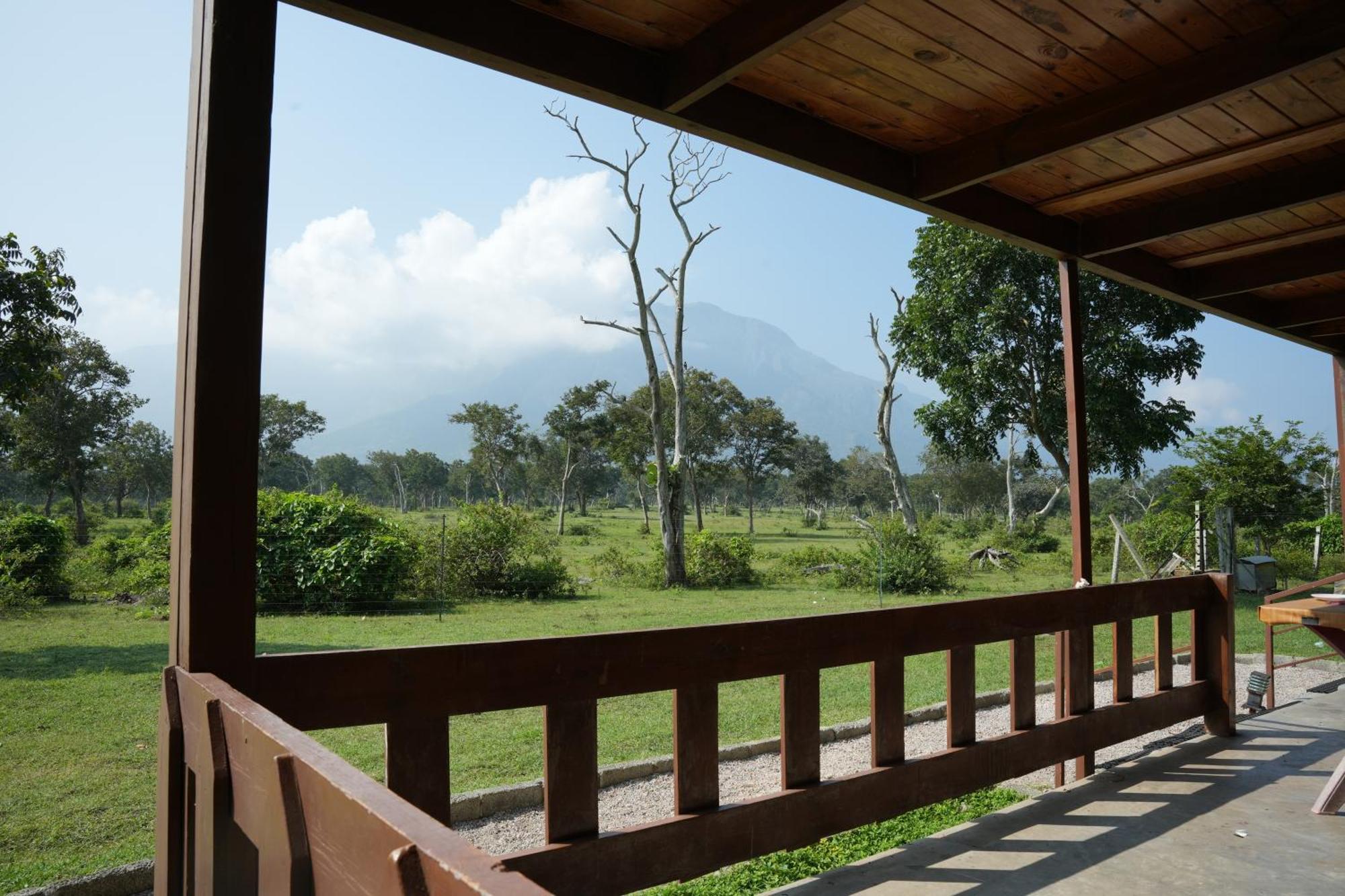 Labdhi Resorts Masinagudi- Stag Groups Not Allowed Екстер'єр фото