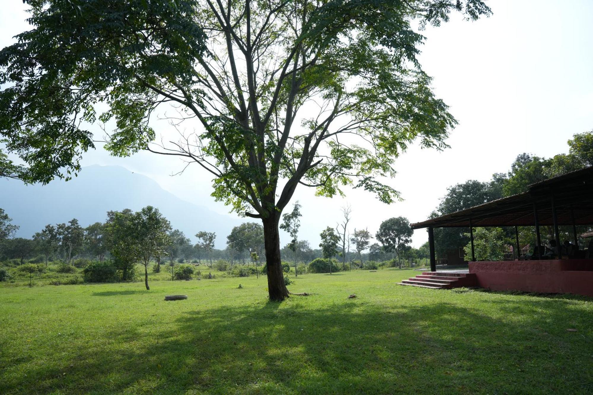 Labdhi Resorts Masinagudi- Stag Groups Not Allowed Екстер'єр фото